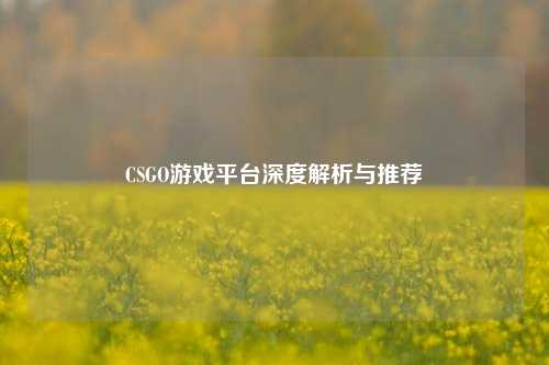 CSGO游戏平台深度解析与推荐