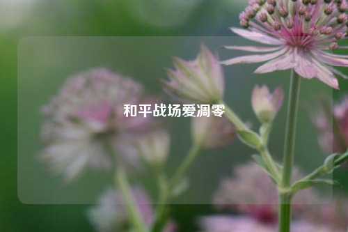 和平战场爱凋零