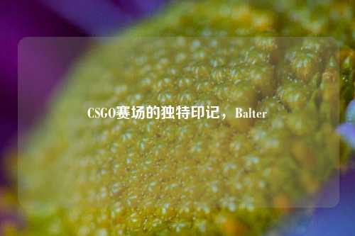 CSGO赛场的独特印记,Balter