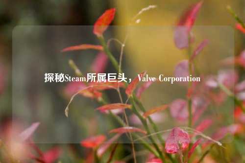 探秘Steam所属巨头,Valve Corporation