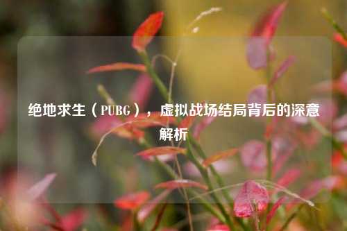 绝地求生(PUBG),虚拟战场结局背后的深意解析