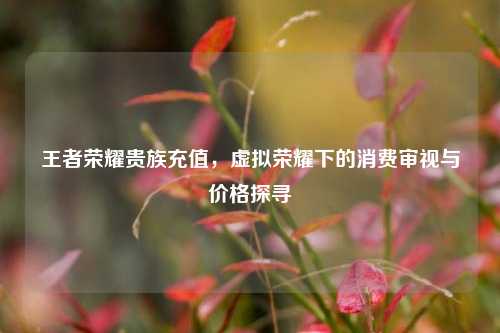 王者荣耀贵族充值,虚拟荣耀下的消费审视与价格探寻