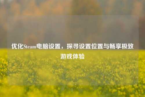 优化Steam电脑设置,探寻设置位置与畅享极致游戏体验
