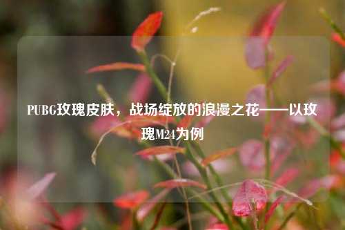 PUBG玫瑰皮肤，战场绽放的浪漫之花——以玫瑰M24为例