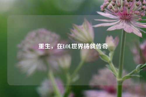 重生,在LOL世界铸就传奇