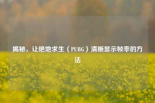 揭秘,让绝地求生(PUBG)清晰显示帧率的方法