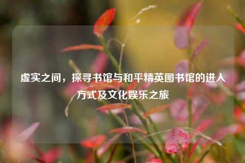 虚实之间,探寻书馆与和平精英图书馆的进入方式及文化娱乐之旅