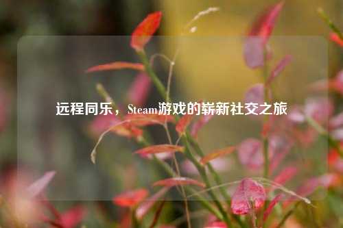 远程同乐,Steam游戏的崭新社交之旅