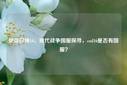 使命召唤16,现代战争国服探寻,cod16是否有国服?