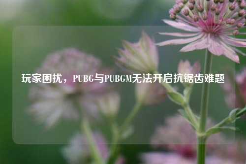 玩家困扰，PUBG与PUBGM无法开启抗锯齿难题