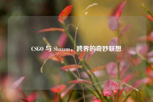 CSGO 与 Shazam,跨界的奇妙联想