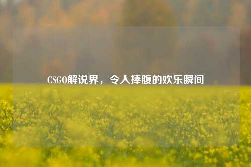 CSGO解说界,令人捧腹的欢乐瞬间