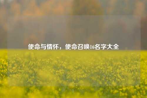 使命与情怀,使命召唤16名字大全