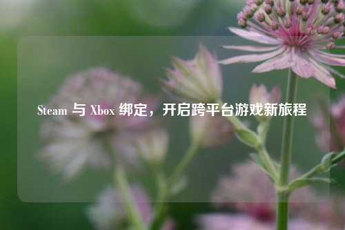 Steam 与 Xbox 绑定,开启跨平台游戏新旅程