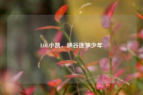 LOL小凯,峡谷逐梦少年