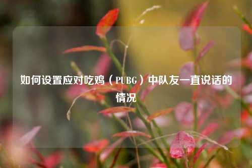 如何设置应对吃鸡(PUBG)中队友一直说话的情况