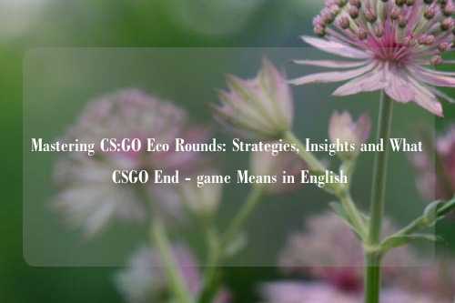 Mastering CS:GO Eco Rounds: Strategies, Insights and What CSGO End - game Means in English