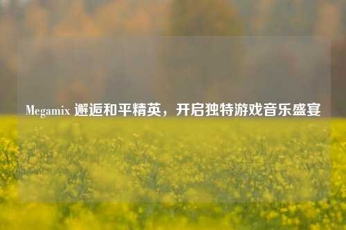 Megamix 邂逅和平精英,开启独特游戏音乐盛宴