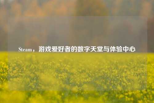 Steam,游戏爱好者的数字天堂与体验中心