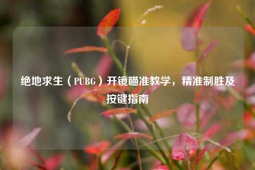 绝地求生(PUBG)开镜瞄准教学,精准制胜及按键指南