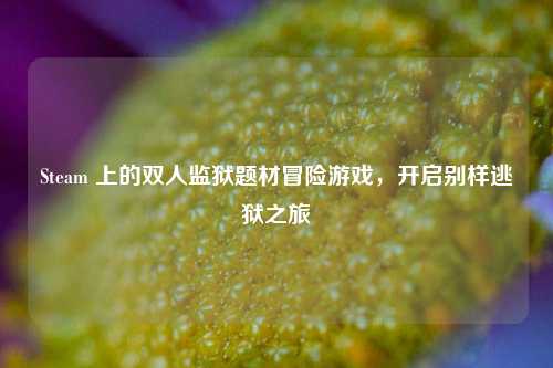 Steam 上的双人监狱题材冒险游戏,开启别样逃狱之旅