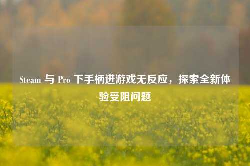 Steam 与 Pro 下手柄进游戏无反应，探索全新体验受阻问题