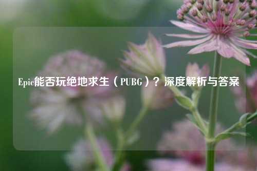 Epic能否玩绝地求生(PUBG)?深度解析与答案