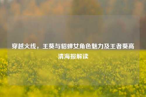 穿越火线,王葵与貂蝉女角色魅力及王者葵高清海报解读