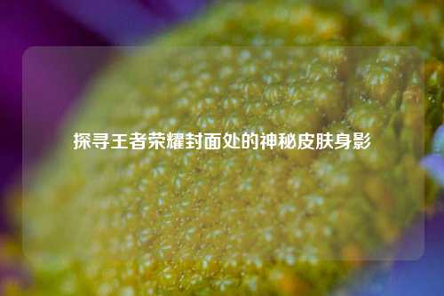 探寻王者荣耀封面处的神秘皮肤身影