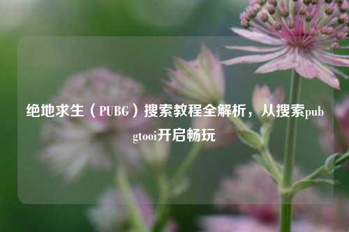 绝地求生（PUBG）搜索教程全解析，从搜索pubgtooi开启畅玩