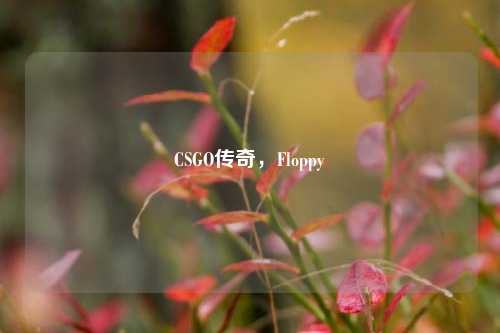 CSGO传奇,Floppy