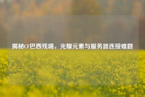 揭秘CF巴西残端,光耀元素与服务器连接难题