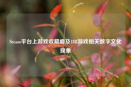 Steam平台上游戏收藏癖及18R游戏相关数字文化现象