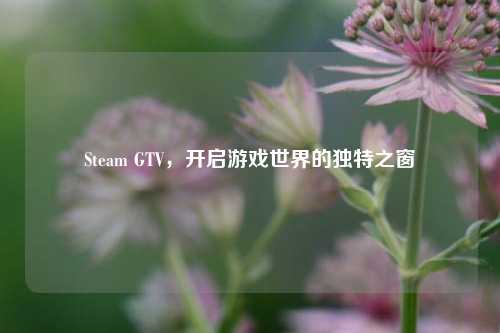 Steam GTV,开启游戏世界的独特之窗
