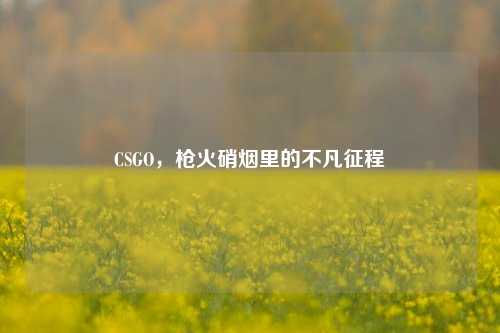 CSGO,枪火硝烟里的不凡征程