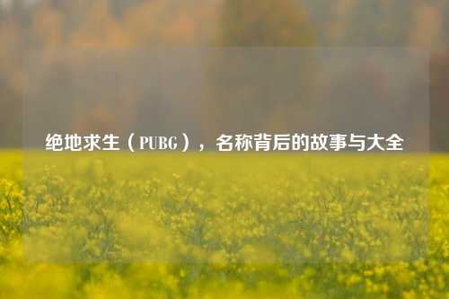 绝地求生(PUBG),名称背后的故事与大全
