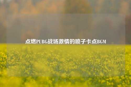 点燃PUBG战场激情的喷子卡点BGM