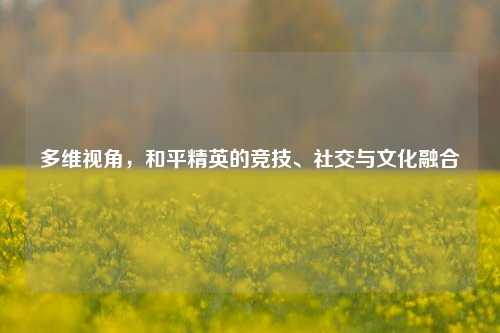 多维视角,和平精英的竞技、社交与文化融合