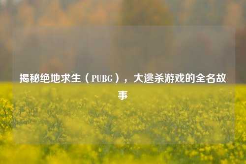 揭秘绝地求生（PUBG），大逃杀游戏的全名故事