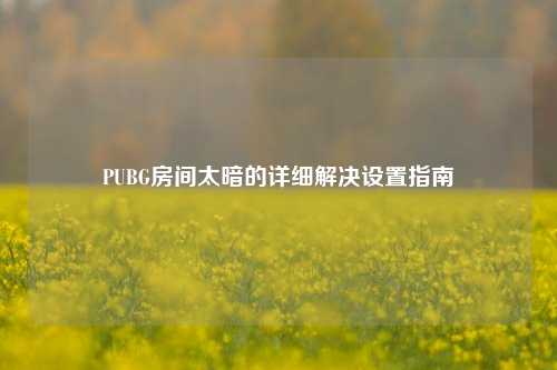 PUBG房间太暗的详细解决设置指南