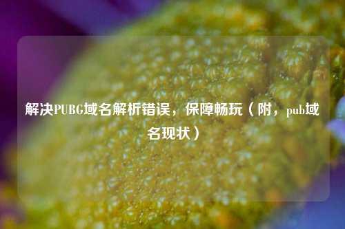 解决PUBG域名解析错误，保障畅玩（附，pub域名现状）