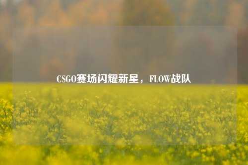CSGO赛场闪耀新星,FLOW战队