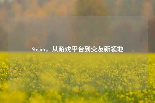 Steam,从游戏平台到交友新领地
