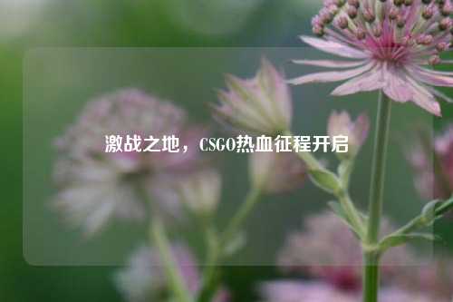 激战之地,CSGO热血征程开启
