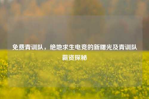 免费青训队,绝地求生电竞的新曙光及青训队薪资探秘