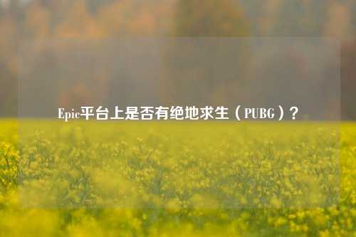 Epic平台上是否有绝地求生(PUBG)?
