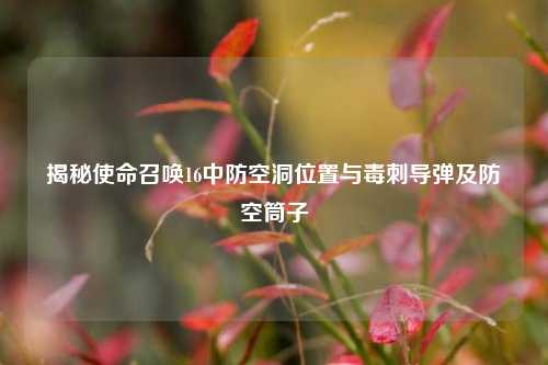 揭秘使命召唤16中防空洞位置与毒刺导弹及防空筒子