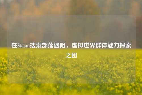 在Steam搜索部落遇阻,虚拟世界群体魅力探索之困
