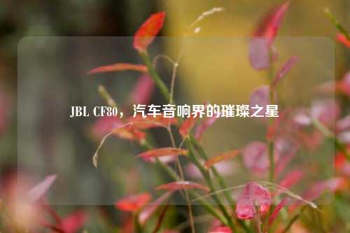 JBL CF80,汽车音响界的璀璨之星
