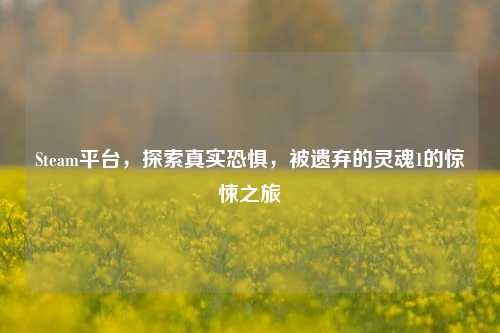 Steam平台,探索真实恐惧,被遗弃的灵魂1的惊悚之旅